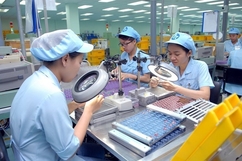 GDP năm 2019 của Việt Nam được dự báo có thể tăng 6,93%