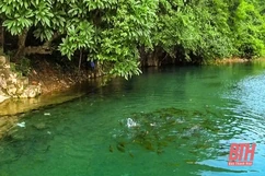 Có một suối “cá thần” nơi cửa ngõ xứ Thanh