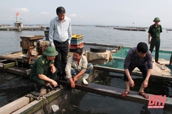Khắc phục hiện tượng cá chết tại vùng biển Nghi Sơn