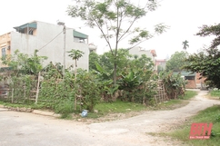 Bao giờ các hộ dân trúng đấu giá đất tại MBQH 11808 phường Quảng Hưng mới được cấp giấy chứng nhận QSDĐ và giao đất?