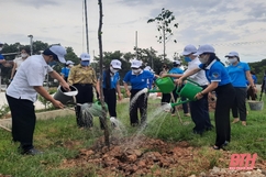 Hội LHPN Thanh Hóa ra quân hưởng ứng ngày môi trường thế giới