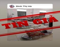 Bác tin giả về hình ảnh người chết do COVID-19 tại TPHCM