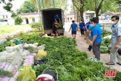 Những chuyến rau xanh “0 đồng” đến với người dân thị trấn Nông Cống