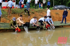 Thả cá giống tái tạo nguồn lợi thủy sản lòng hồ thủy điện  Bá Thước 2