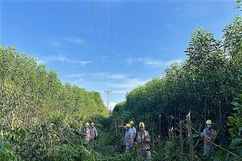 Nâng cao hiệu quả công tác bảo vệ an toàn hành lang lưới điện tại Điện lực Vĩnh Lộc