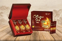 Sâm Ngọc Linh Nam Trà My: Báu vật đại ngàn