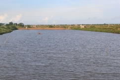 Nga Sơn: Chấm dứt hợp đồng thuê đất và mặt nước nuôi trồng thủy sản ven biển với các hộ dân huyện Hậu Lộc và Kim Sơn (Ninh Bình)