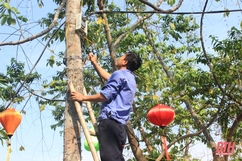 Gấp rút chuẩn bị cho sự kiện “Tuần văn hóa thành phố Thanh Hóa- thành phố Hội An”