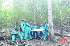 Triển khai đồng bộ các biện pháp ngăn chặn nguy cơ cháy rừng trong mùa nắng nóng