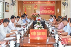 Phát triển cây gai xanh trên địa bàn huyện Quan Sơn