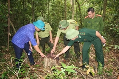 Kiểm tra, làm rõ trách nhiệm và hướng xử lý liên quan đến các vụ phá rừng tại huyện Quan Sơn