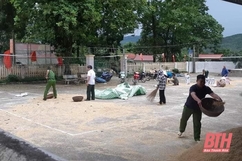 Công an xã Cẩm Ngọc giúp dân dọn lúa chạy mưa
