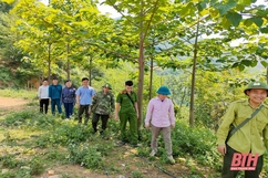 Tặng Bằng khen cho các tập thể, cá nhân trong thực hiện dịch vụ môi trường rừng