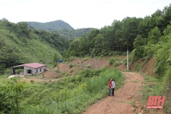 Sớm khắc phục việc phá rừng ở xã Thành Yên, huyện Thạch Thành