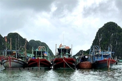 Các tỉnh từ Quảng Ninh đến Quảng Ngãi chủ động ứng phó với bão số 3