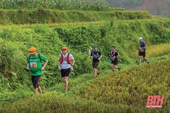 Giải chạy Marathon băng rừng Việt Nam - Pù Luông sẽ trở lại trong tháng 10 tới