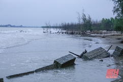 UBND tỉnh Thanh Hóa công bố tình huống khẩn cấp sạt lở, xâm thực bờ biển khu vực cửa Lạch Hới