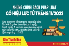 Những chính sách pháp luật có hiệu lực từ tháng 11-2022