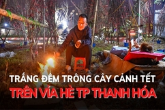 Trắng đêm trông cây cảnh Tết trên vỉa hè TP Thanh Hóa
