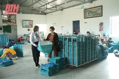 Phát triển kinh tế bền vững nhờ nguồn vốn vi mô Tình thương