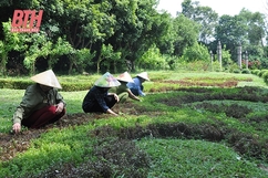 Xây dựng văn hóa du lịch từ những điều nhỏ nhất