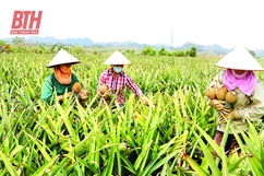 Để liên kết sản xuất và tiêu thụ sản phẩm là nhân tố phát triển nông nghiệp bền vững (Bài 1): Xu thế phát triển nền nông nghiệp hiện đại