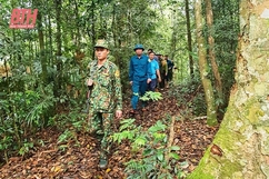 Tuần tra bảo vệ biên giới và rừng đầu nguồn