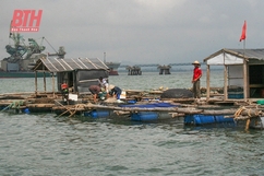 Bảo vệ an toàn nghề nuôi cá lồng trong mùa mưa bão