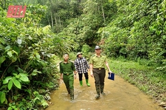 Giữ rừng bền vững, hiệu quả tại Ban Quản lý rừng phòng hộ Lang Chánh