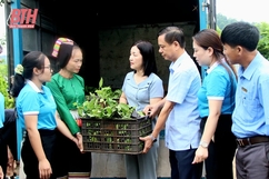 Trao gần 10.000 cây giống chanh leo cho Tổ hợp tác trồng chanh leo do phụ nữ làm chủ xã Thanh Sơn