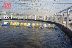 Hậu Lộc phát triển nuôi trồng thủy sản theo hướng công nghệ cao