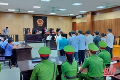 Tuyên phạt cựu Giám đốc Sở GD&ĐT Phạm Thị Hằng 4 năm tù