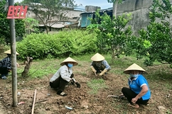 Phụ nữ Quảng Xương chung tay bảo vệ môi trường