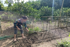 Phát huy vai trò của phụ nữ trong xây dựng gia đình