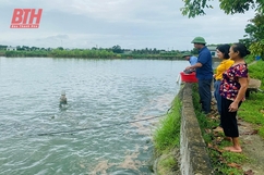 Triệu Sơn tập trung phát triển nuôi trồng thủy sản