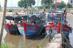 Quảng Xương: Bảo đảm an toàn cho tàu thuyền trong mùa mưa bão