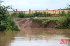 Bờ sông Bưởi tại xã Thành Trực sạt lở nghiêm trọng, UBND tỉnh công bố tình huống khẩn cấp