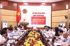 Phiên họp UBND tỉnh tháng 11 năm 2023: Thảo luận, cho ý kiến vào một số báo cáo, tờ trình, đề án phục vụ phát triển kinh tế - xã hội