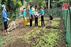 Gần 200 hộ triển khai thực hiện mô hình “vườn rau xanh tại hộ gia đình”