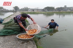 Thị trấn Tân Phong phát triển nghề nuôi trồng thủy sản