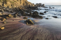[ Đọc AI ] Kỳ lạ bãi biển có cát màu tím