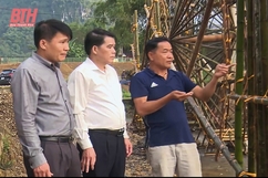 Thị trấn Lang Chánh phát huy vai trò nêu gương của cán bộ, đảng viên