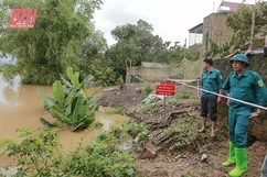 Chủ động phòng, chống sạt lở bờ sông, bờ biển