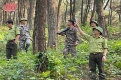 Hạt Kiểm lâm Nghi Sơn tăng cường bảo vệ rừng