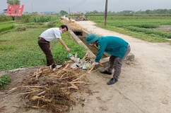 Nâng cao chất lượng môi trường, xây dựng cảnh quan nông thôn mới