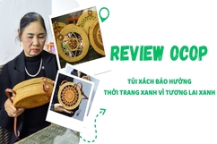 Túi xách Bảo Hường - Thời trang xanh vì tương lai xanh