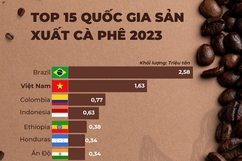 Việt Nam tiếp tục củng cố vị thế quốc gia cung ứng cà phê hàng đầu thế giới