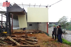 Tháo dỡ xưởng băm keo trái phép