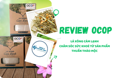 [REVIEW OCOP] Lá xông cảm lạnh - Chăm sóc sức khoẻ từ sản phẩm thuần thảo mộc