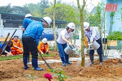 Công ty Điện lực Thanh Hóa phát động Tết trồng cây Xuân Giáp Thìn 2024